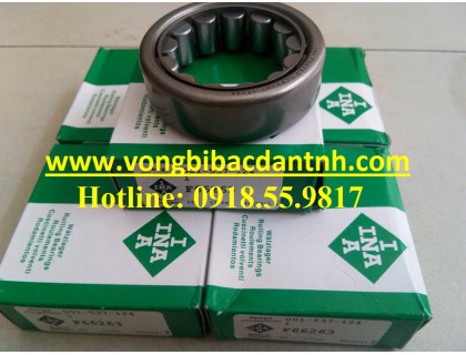BẠC ĐẠN F66263 - INA